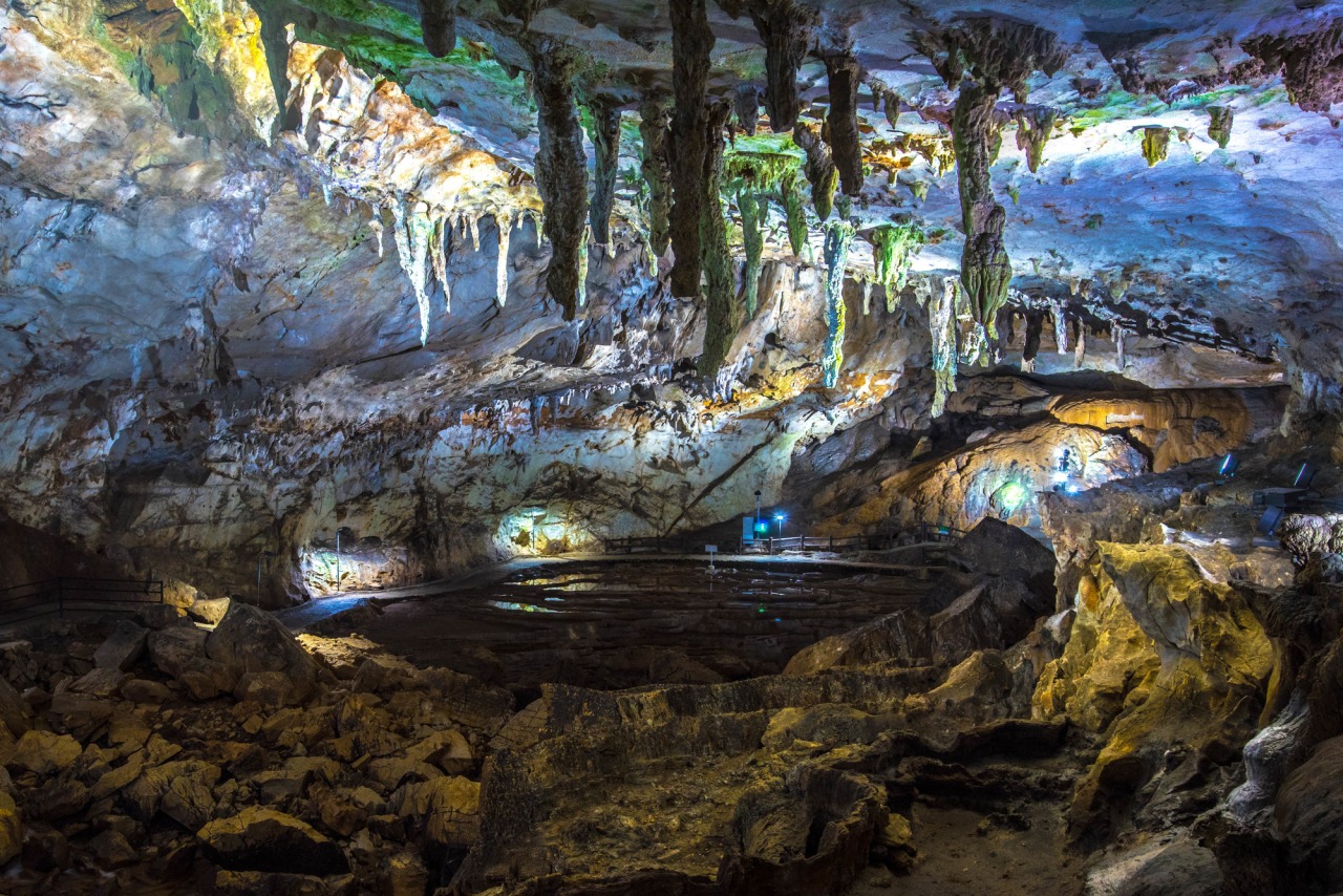 秋芳洞｜秋吉台の地下に広がる日本最大級の大鍾乳洞 【公式】山口県