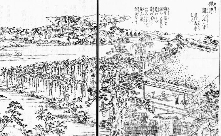 酒井抱一の「綺麗さび」の世界（十八）: 新「俳諧と美術」