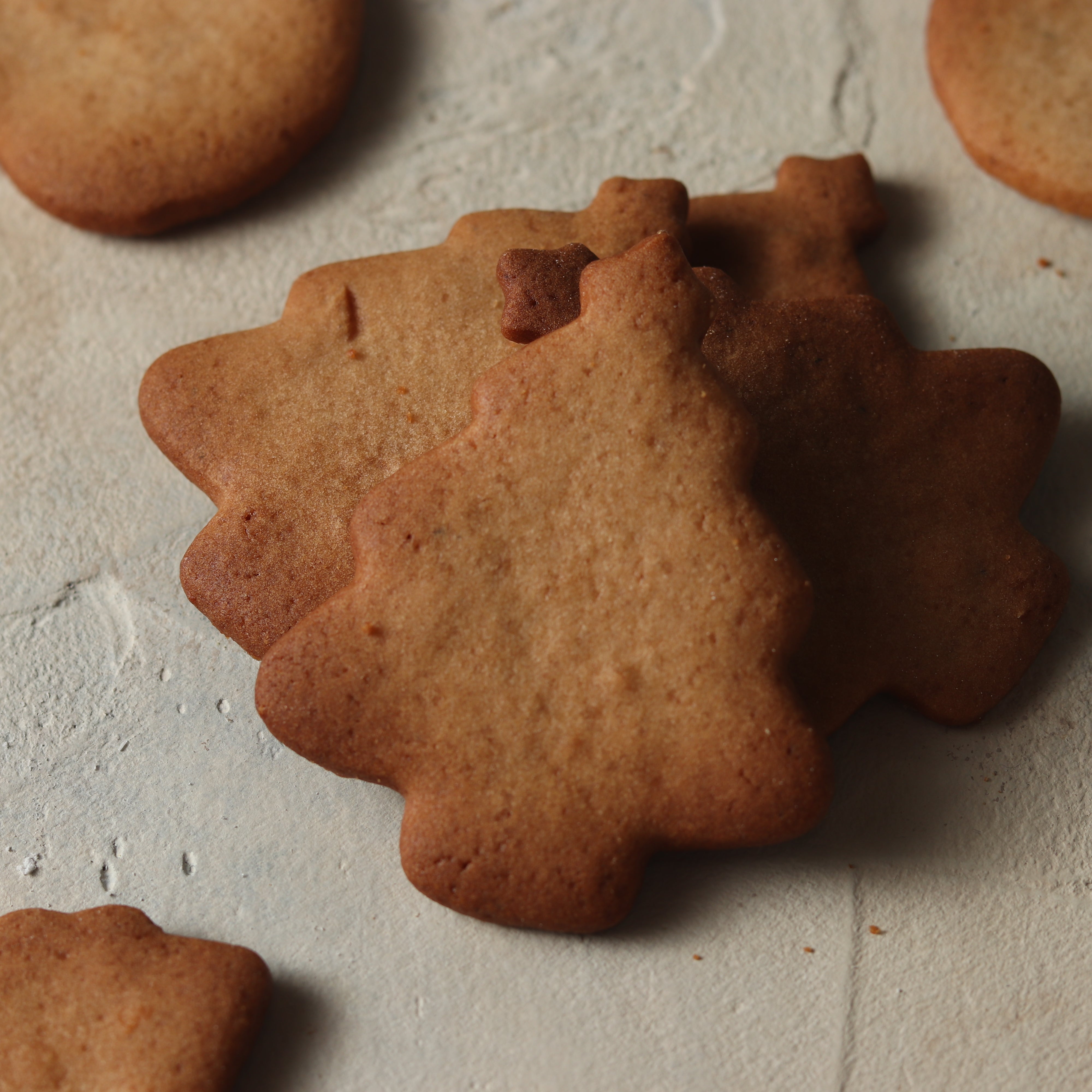 IMG_9979.jpg?crop=center&