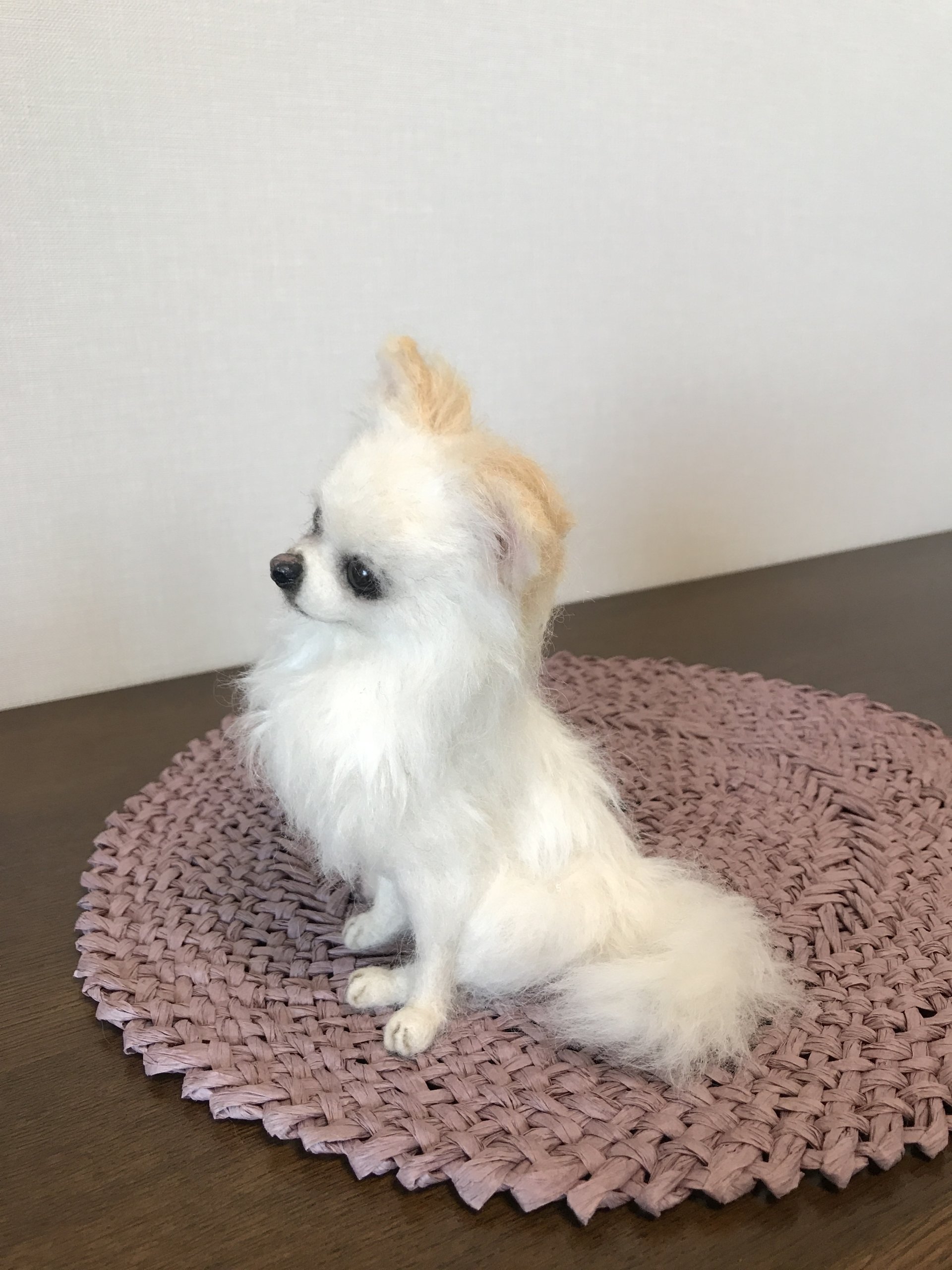 羊毛フェルトで白いロングコートチワワを作りました。メリノ、ロムニー