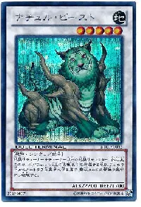 遊戯王「ナチュル・ビースト」のカード評価 ： asdさん | 遊戯王カード