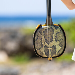 031 島くるち 南風原型 | Instagram | 東京都国分寺市の三線なら展示