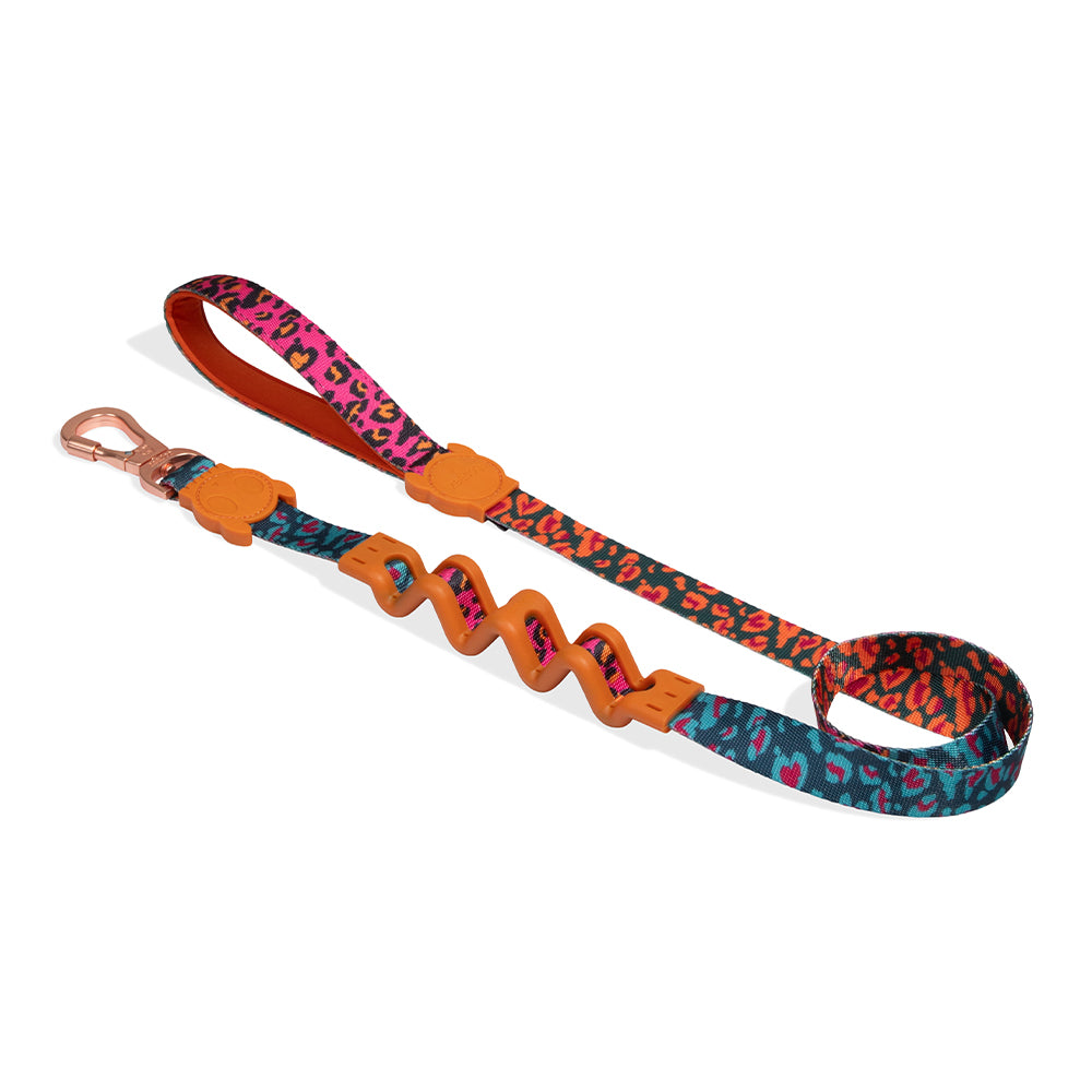 RUFF LEASH – zee.dog Japan