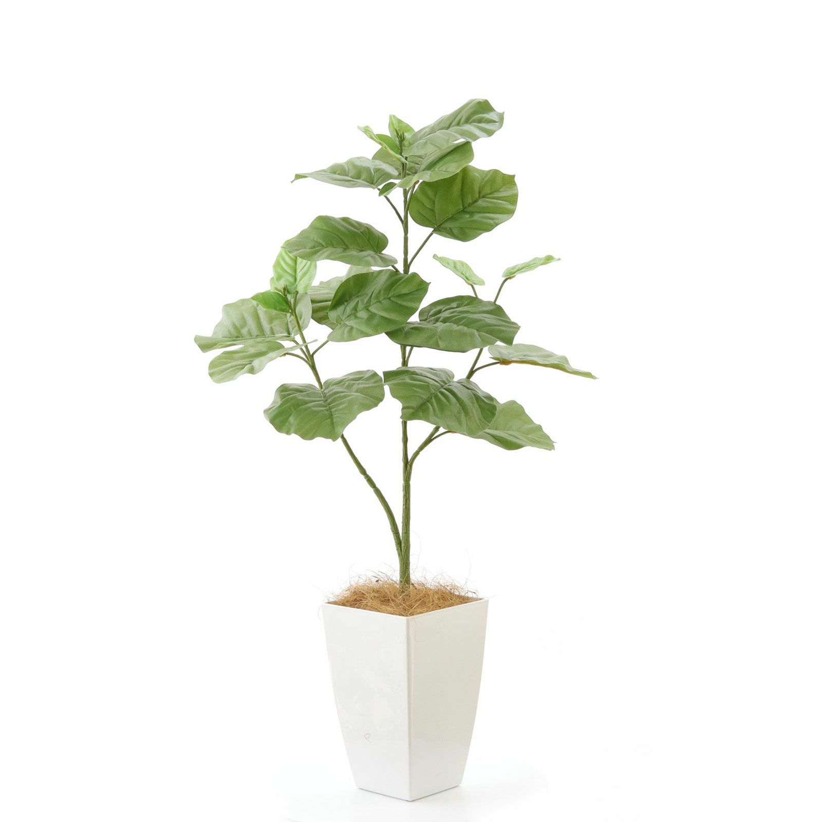 No92106 プレミアム光触媒フェイクグリーン 「ゆるやかな枝ぶり × 個性