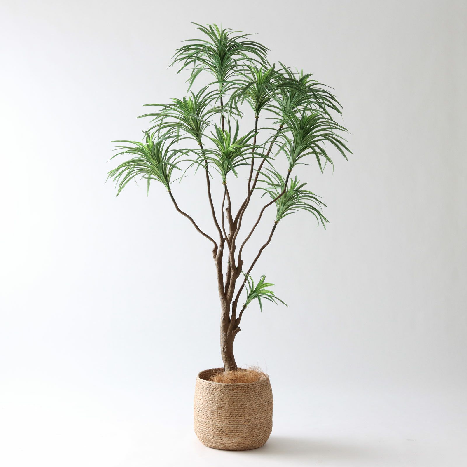 No8182 プレミアム光触媒フェイクグリーン「枝を自由に曲げて × 空間に