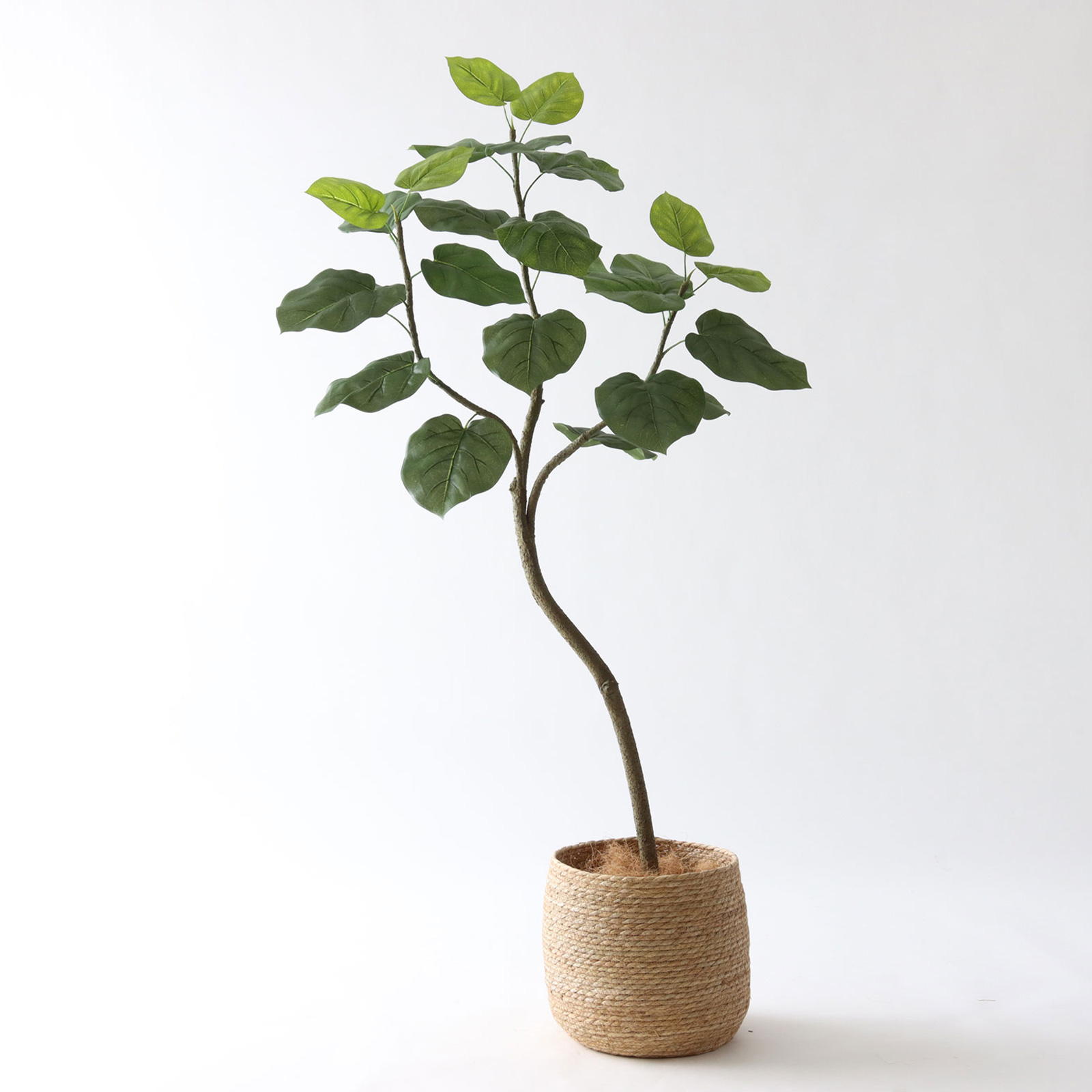 プレミアム光触媒フェイクグリーン 造花ドットコム zouka.com