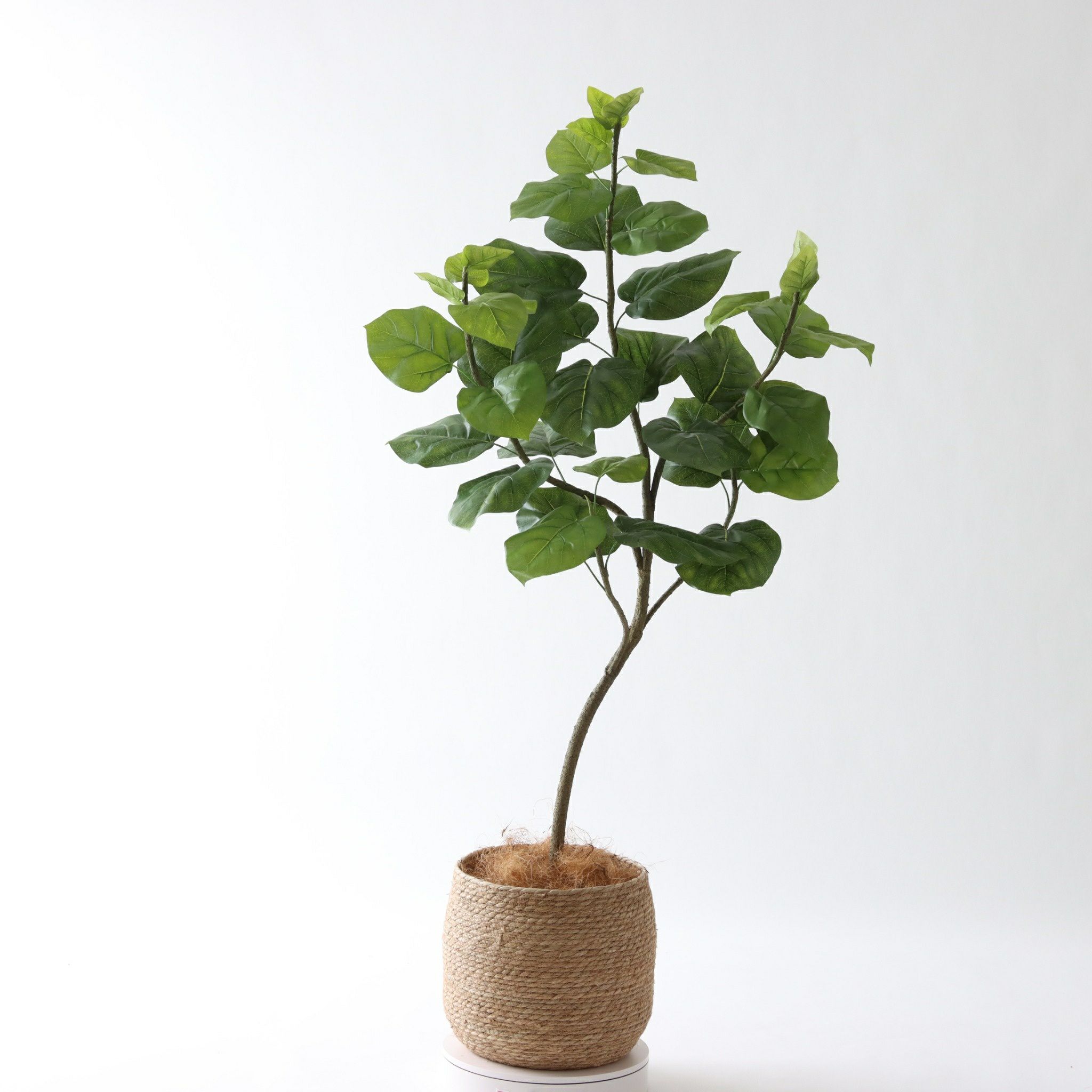 No9283 プレミアム光触媒フェイクグリーン 「柔らかな葉 × バランスの