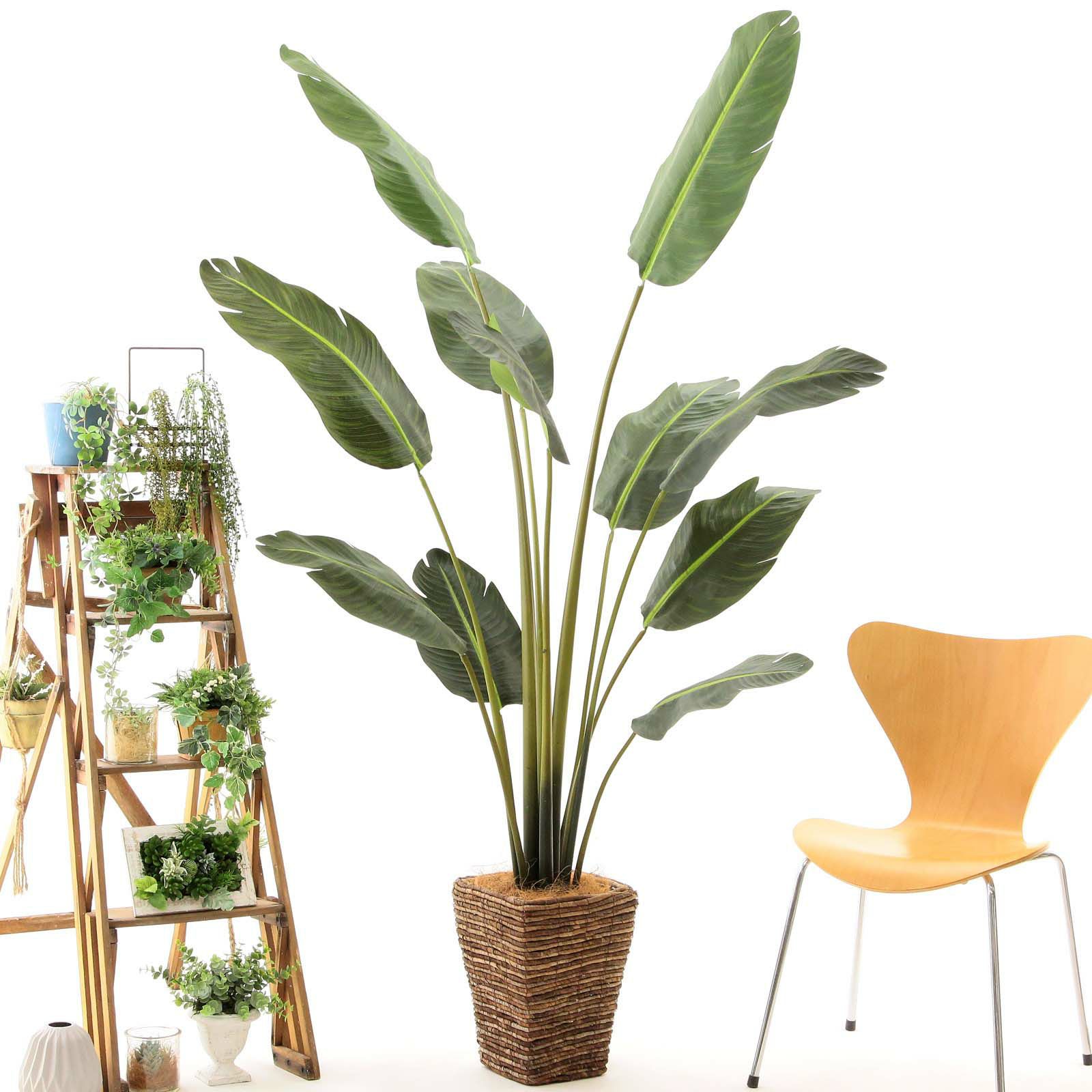 No9299 プレミアム光触媒フェイクグリーン 「大きく広がる葉 × スラリ