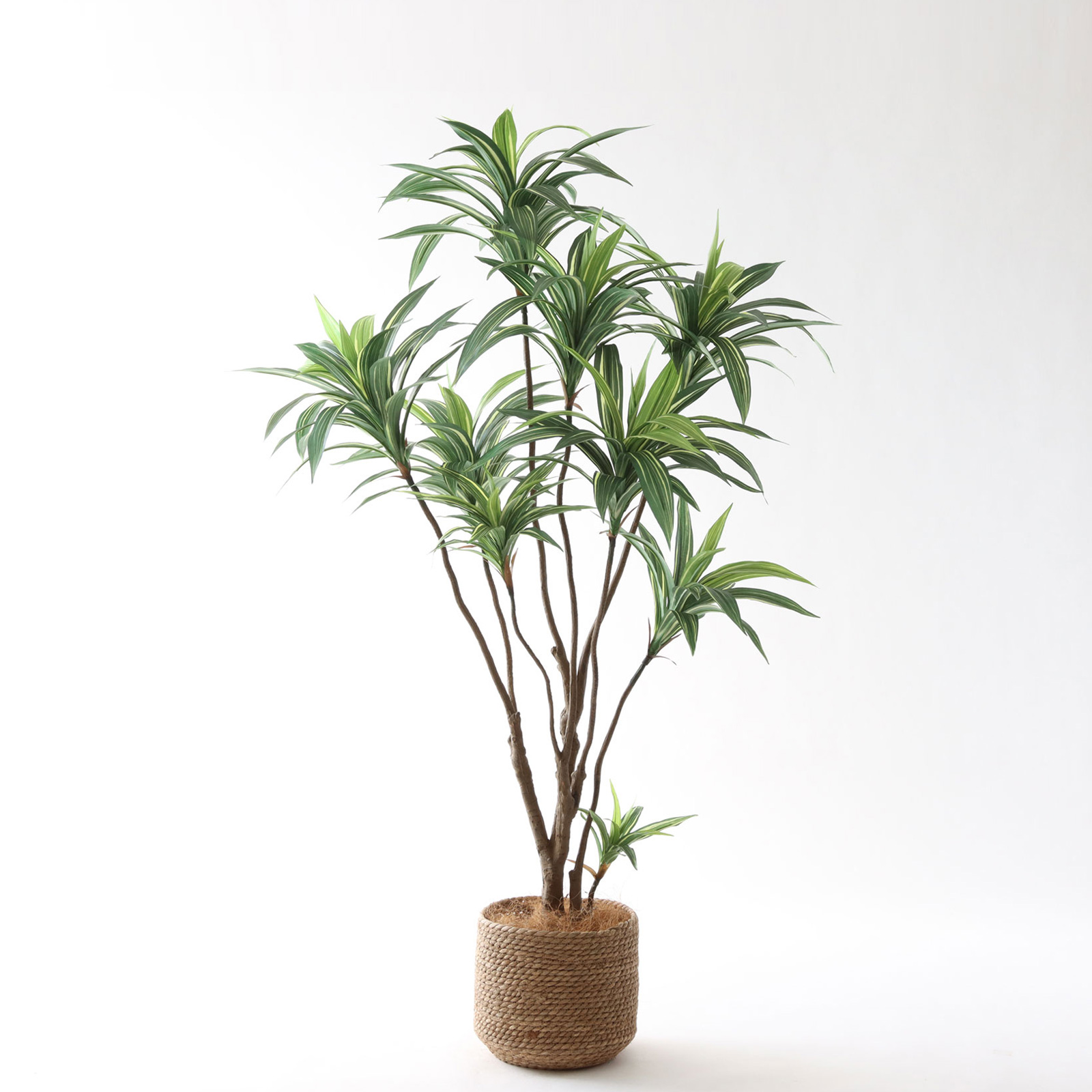 フィカス・ウンベラータ | プレミアム光触媒フェイクグリーン 造花