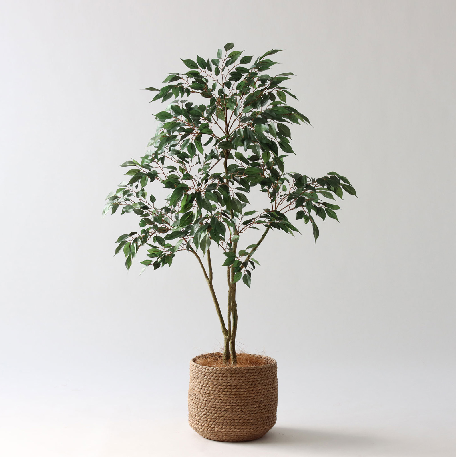 No8414 プレミアム光触媒フェイクグリーン 「軽やかな枝ぶり × 豊かな