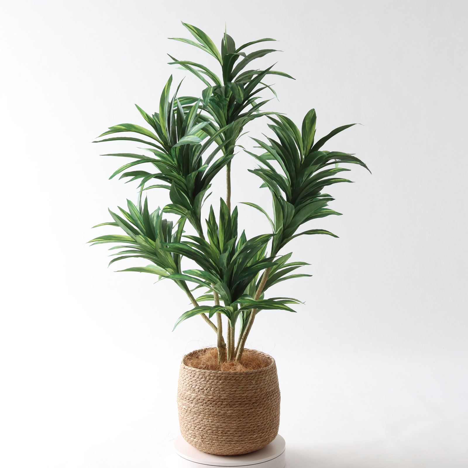 No.8425 プレミアム光触媒フェイクグリーン 「シャープな葉姿 × 洗練