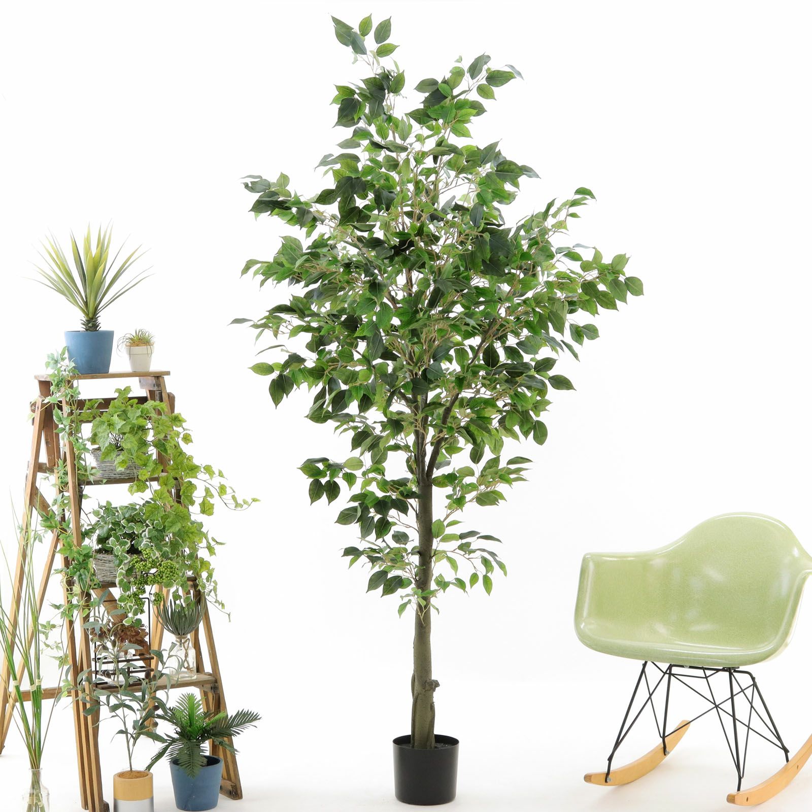 No9311 プレミアム光触媒フェイクグリーン 「ふんわりと広がる枝ぶり