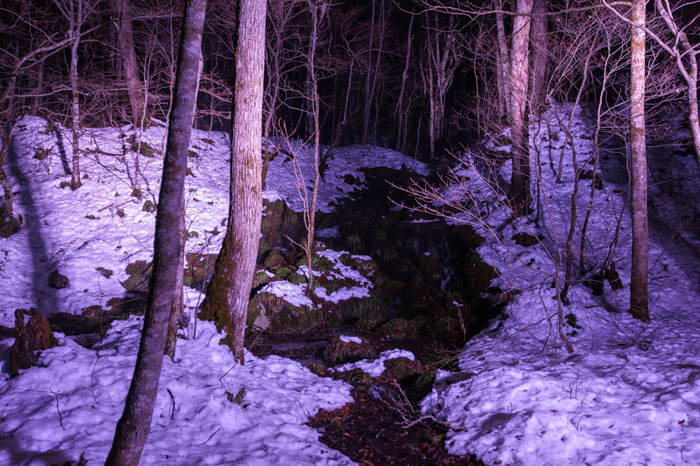 夜を照らす氷の芸術！冬の奥入瀬渓流氷瀑ツアー｜特集｜【公式】青森県