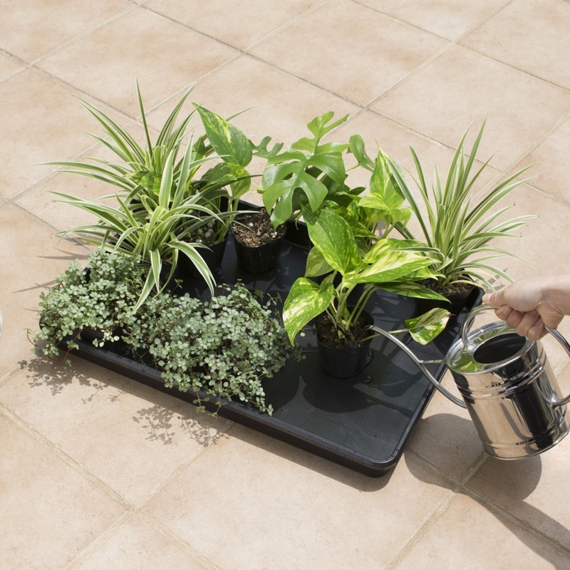 ガーデニングトレイL GTS-02 4975149508983