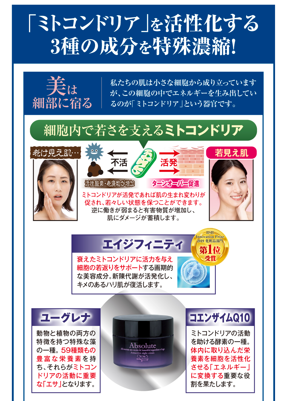 アブソルート アトラクティブナイトクリーム ここでしか買えない！お得