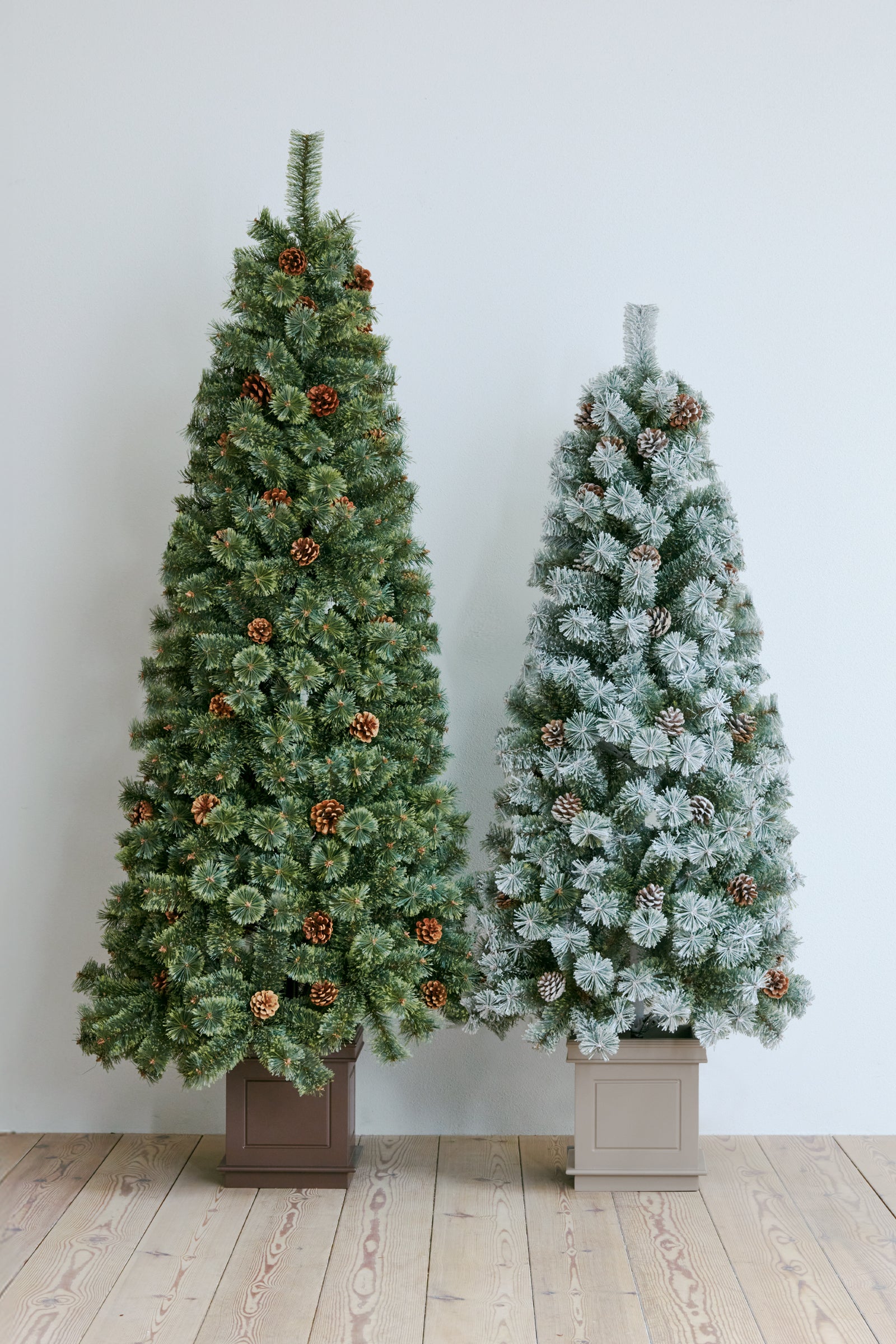 アルザスツリー ポット 樅 – alsace_tree