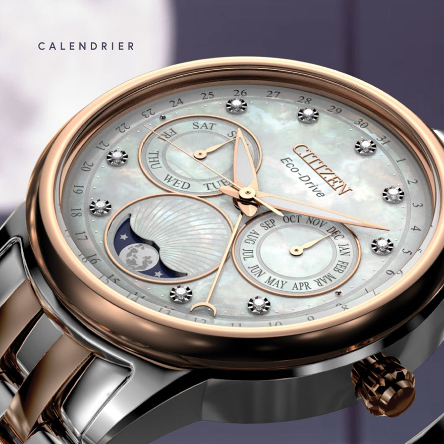 Citizen Calendrier Ladies Eco-Drive Watch | FD0006-56D – Ann