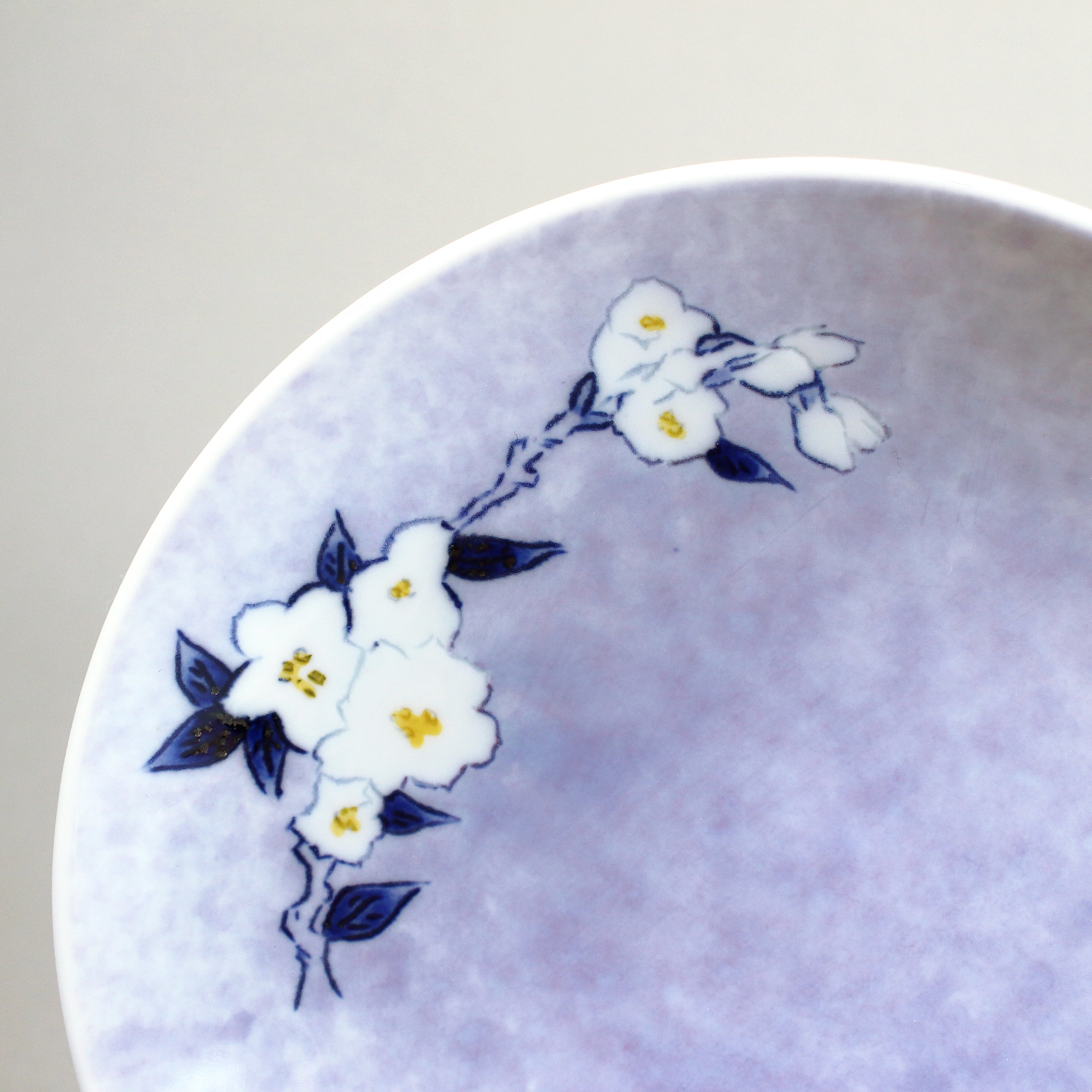 有田焼 春の色合いのうつわおまとめ TS2051 有田焼 春の色合いのうつわ