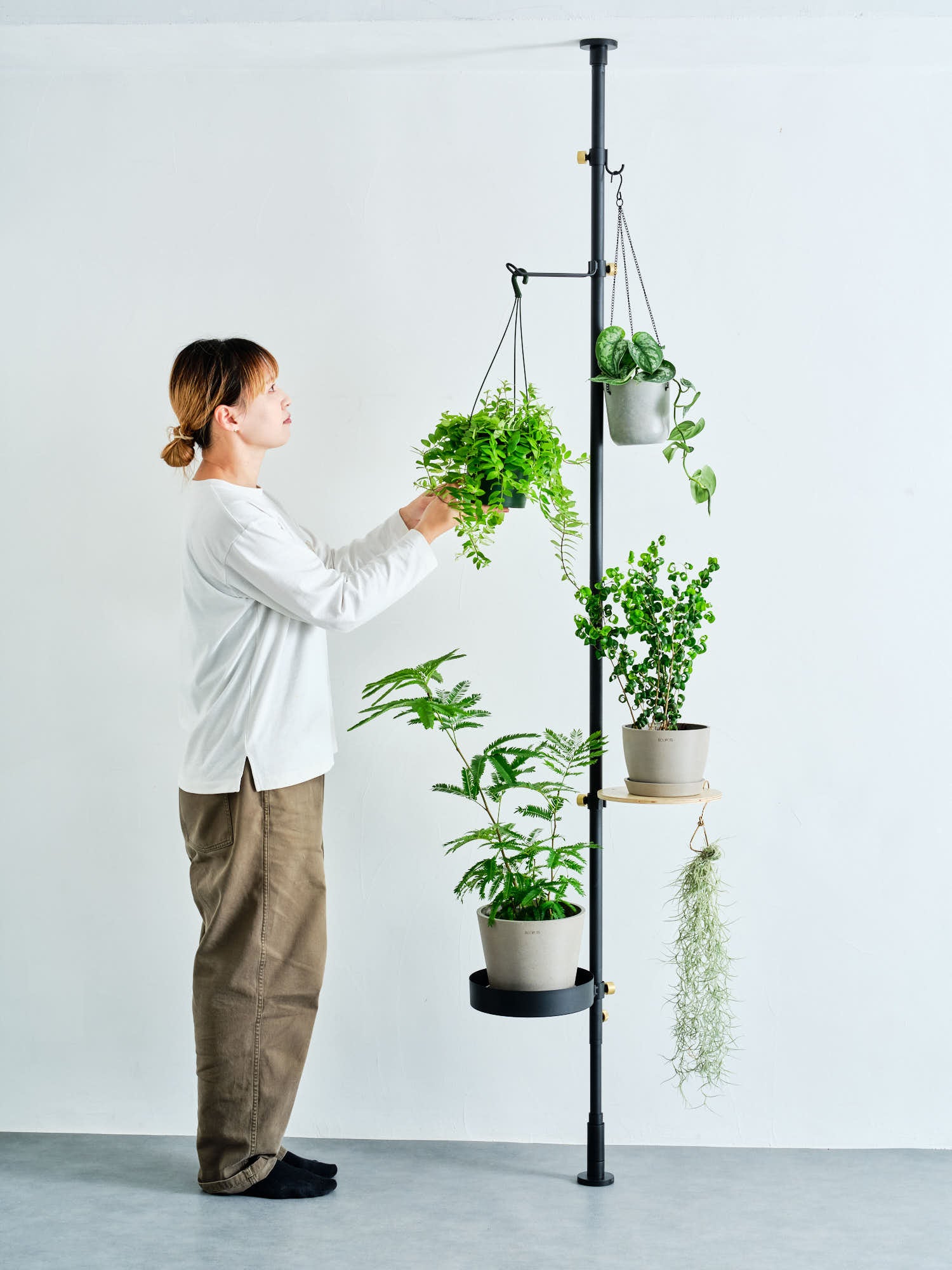 もりもりセット DRAW A LINE | 観葉植物・お花の通販 AND PLANTS