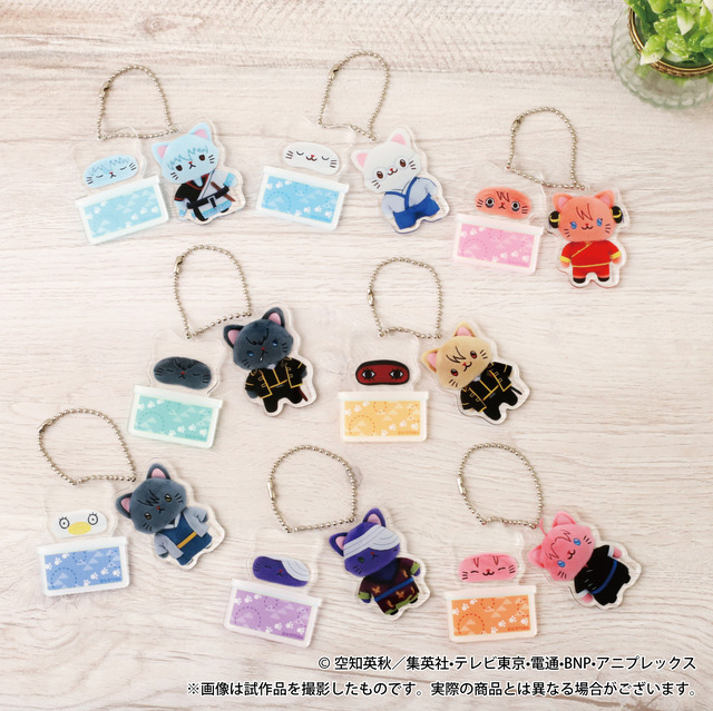 銀魂」銀さん、桂、沖田、土方たちがネコになっちゃった!? “withCAT