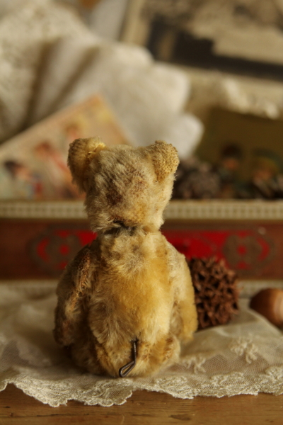 アンティークベア YES/NOベア schuco ドイツ 20180907 【Antiques