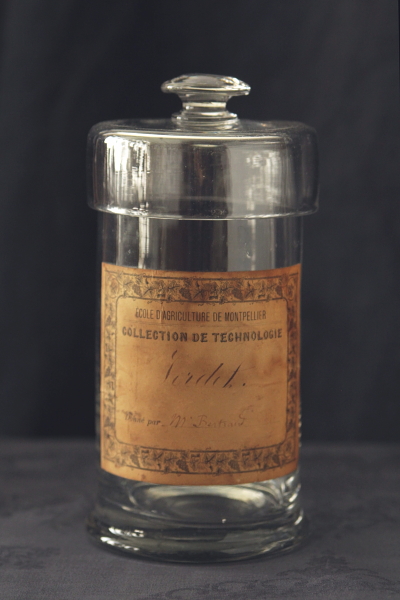 アンティーク標本瓶 ガラスジャー ブロカント モンペリエ農業学校
