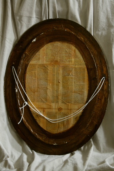 アンティーク標本 貝 珊瑚 海藻 アートフレーム イタリアフィレンツェ