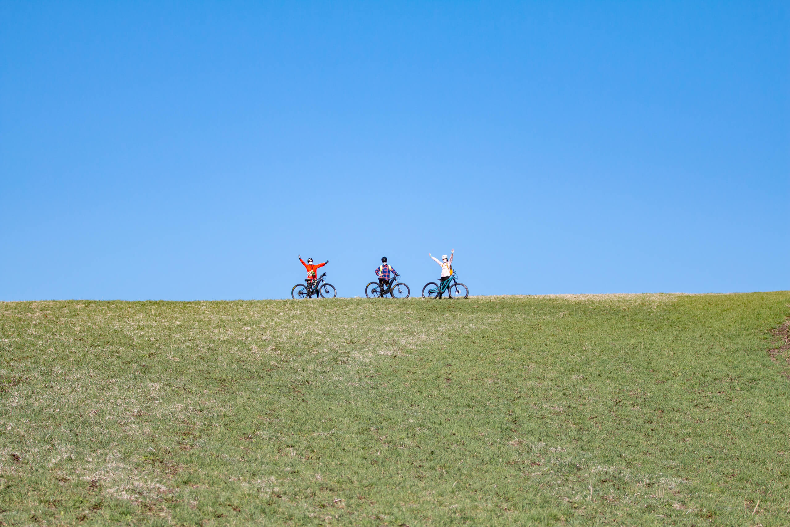 Meadow Road 牧草地の道 【公式通販】