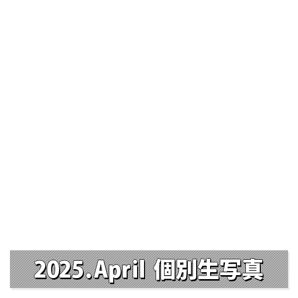 NMB48 OFFICIAL GOODS STORE