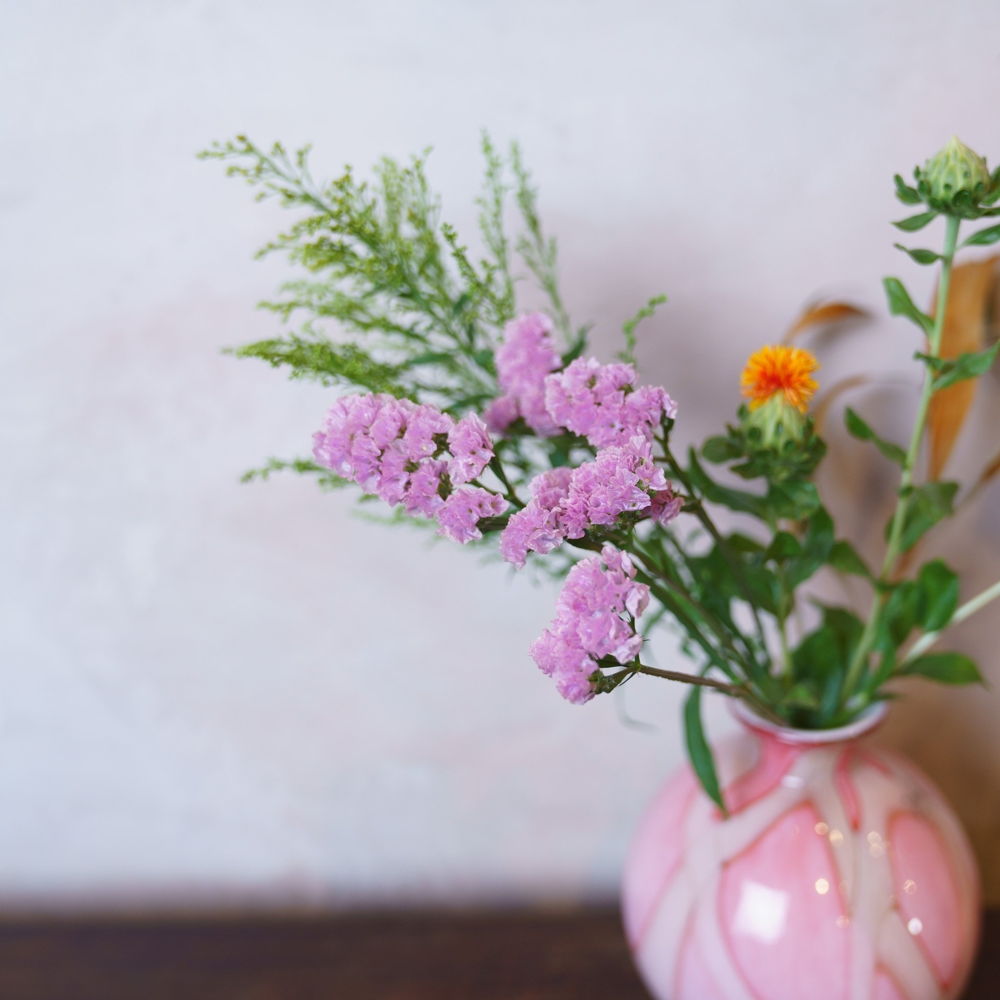 ドライフラワーにしやすいお花の定期便』5月号｜greenpiece