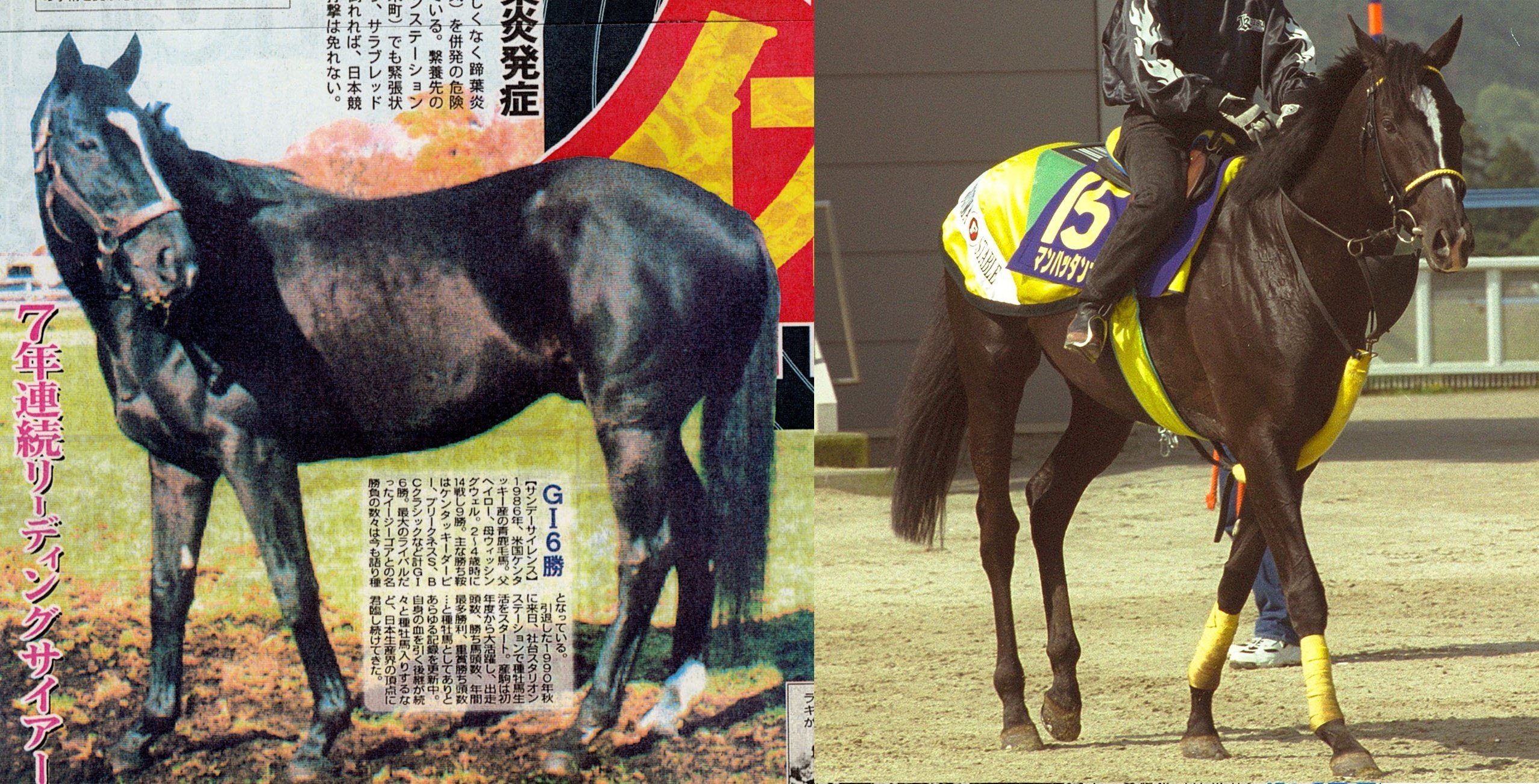 ウマ娘」の〝異界を行く者〟。秒で天下を取ったマンハッタンカフェを