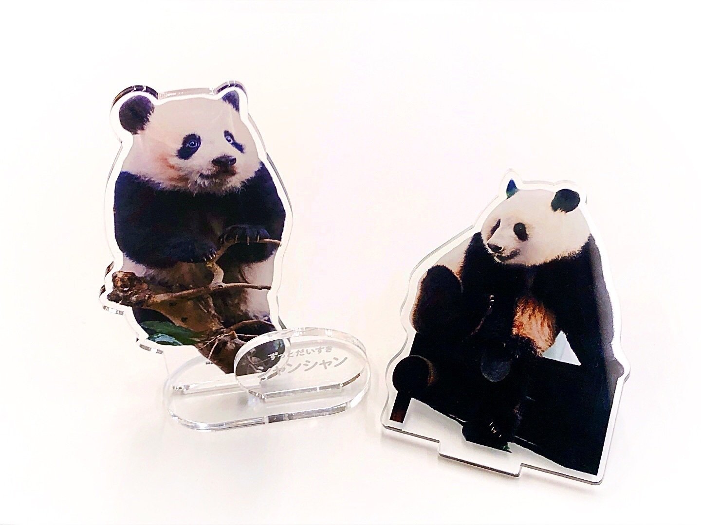 飾れる写真集 ずっとだいすきシャンシャン」について｜上野案内所