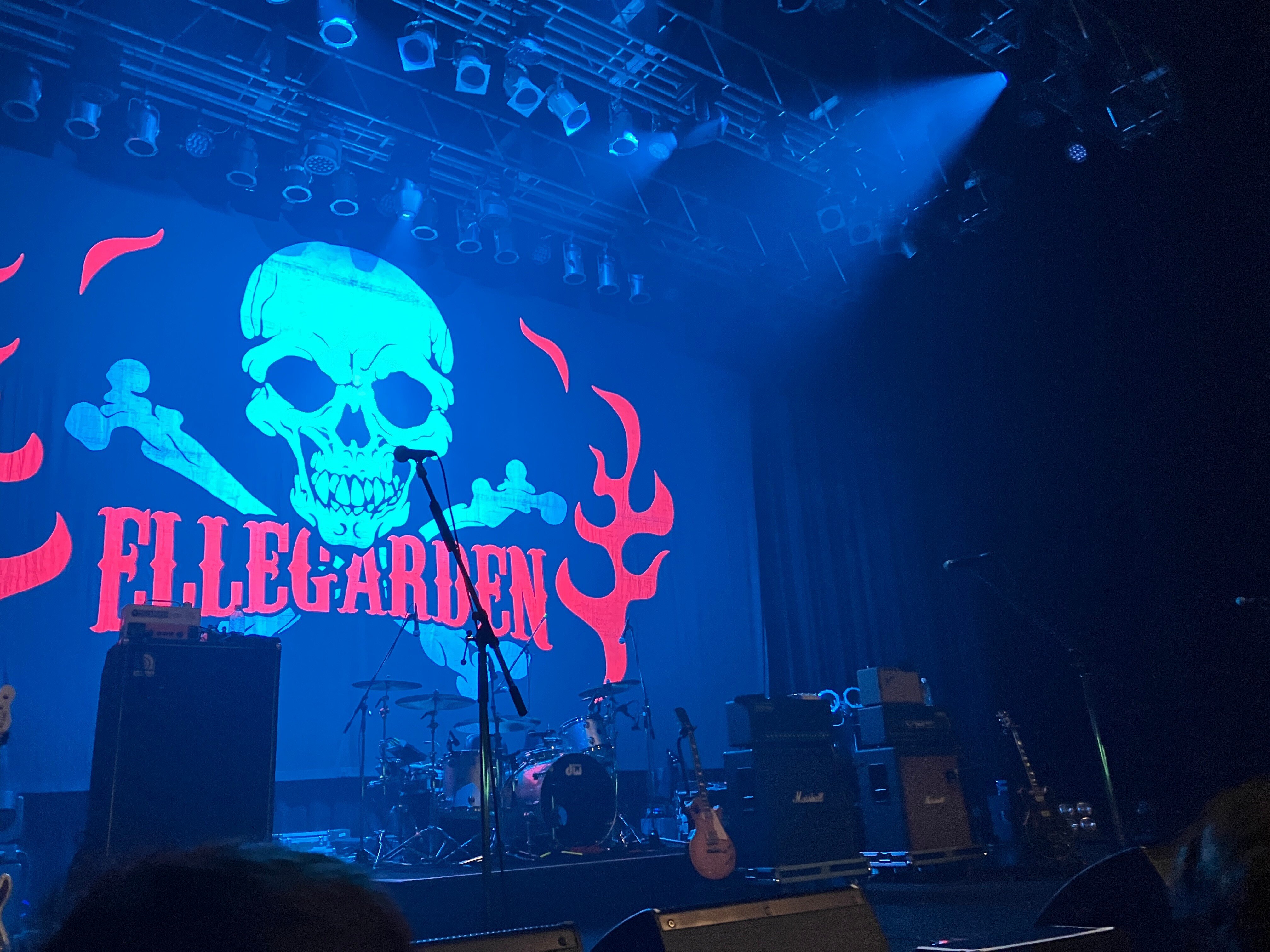あの頃の私へ、ライブハウスでエルレに会えたよ【ELLEGARDEN[The End