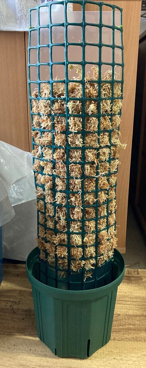 半円型モスポールを自作してみた｜そーいち・F・スタインベック