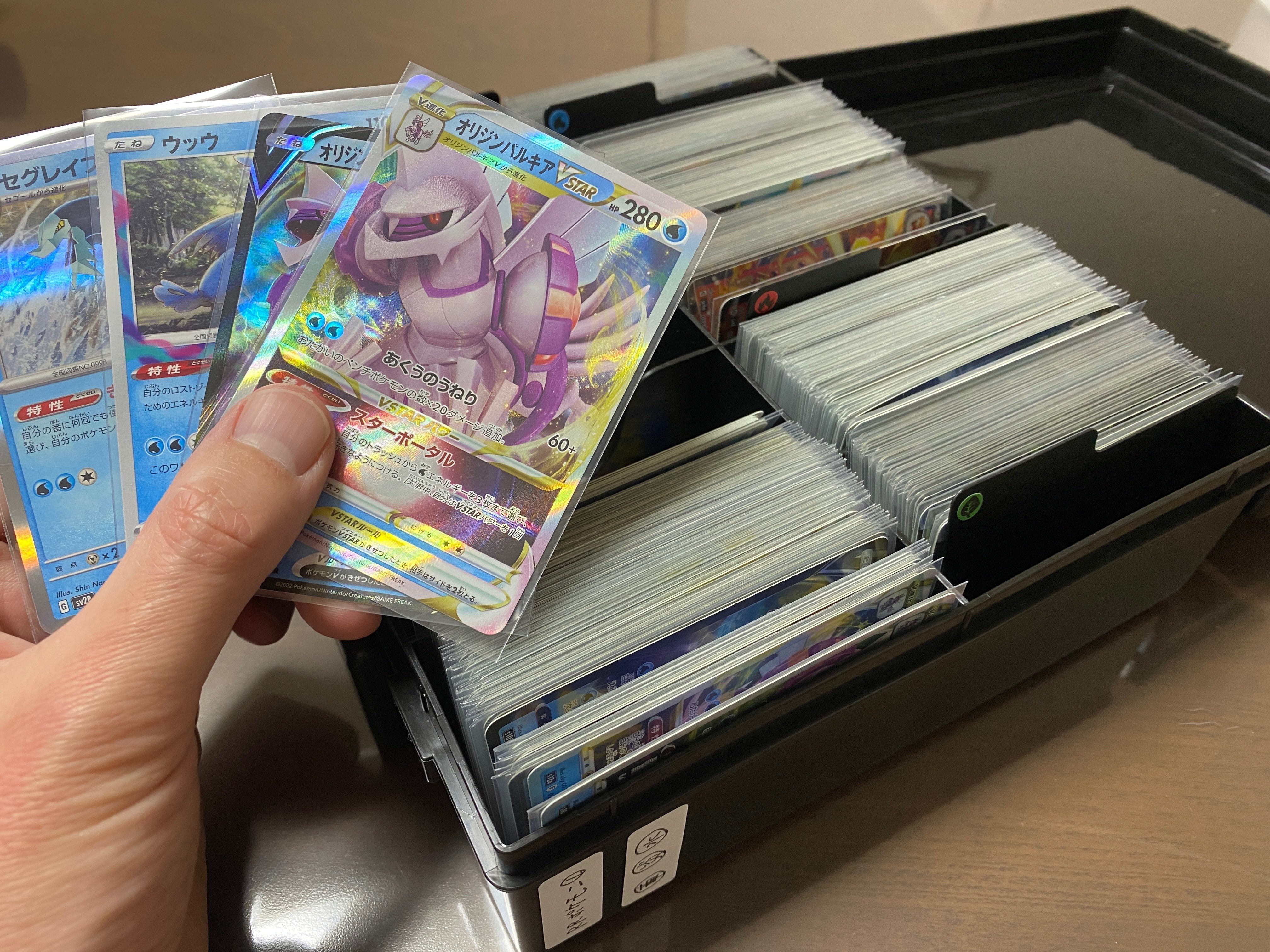 ポケカ】ポケモンカード整理術！（プレイヤー目線）｜コータスん@ポケカ