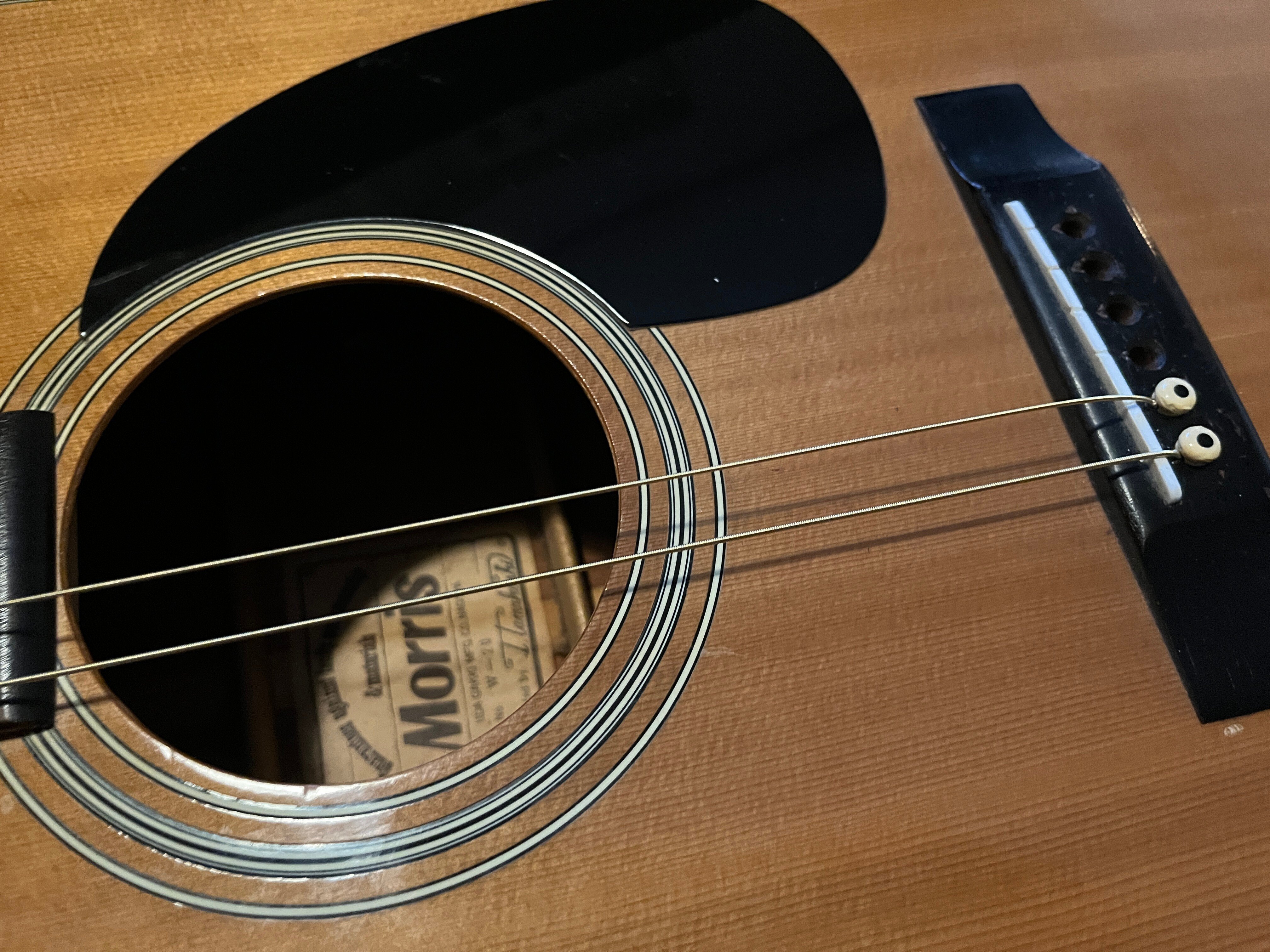 アコギ調整-Morris W-20-｜NAKADA Shugo