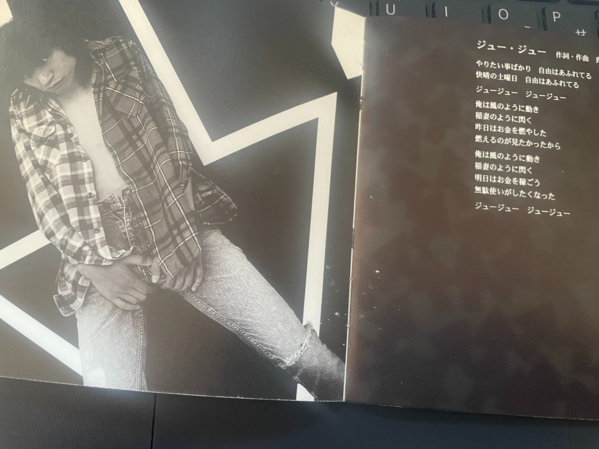 784 アルバム論51｜THE HIGH-LOWS / ↑THE HIGH-LOWS↓（1995）｜パン