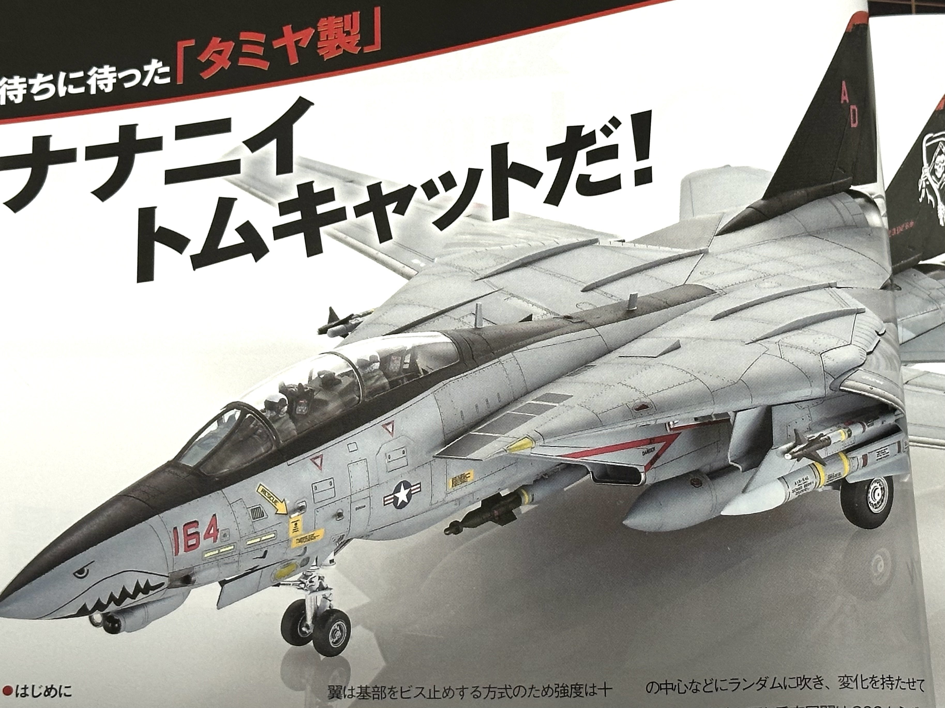 僕の“原点”にして“頂点”。F-14トムキャットへの愛が止まらない『月刊