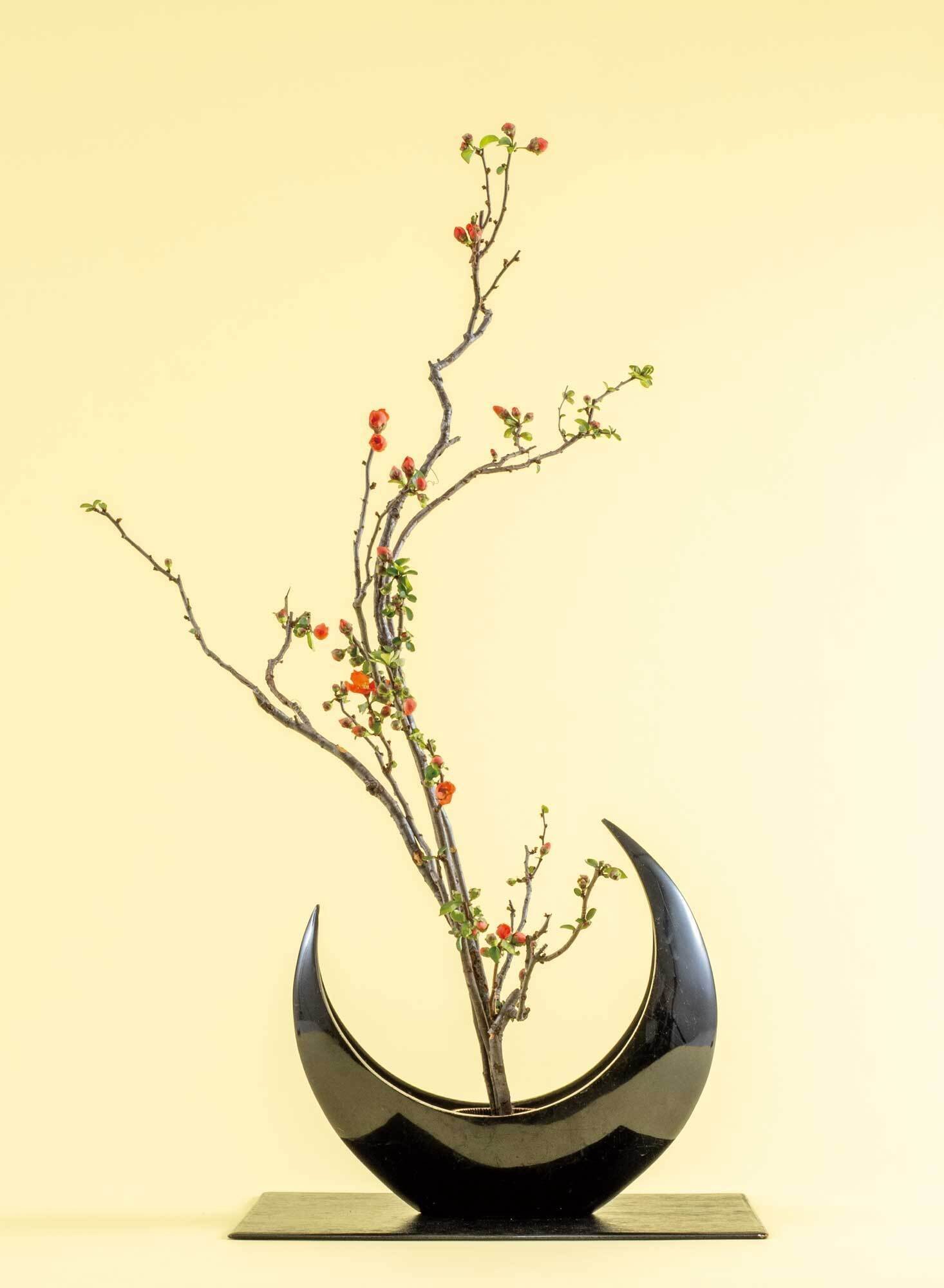 月形の器に緋ぼけをいけた古典様式の生花＋龍生展での紅葉鮮やかな大作