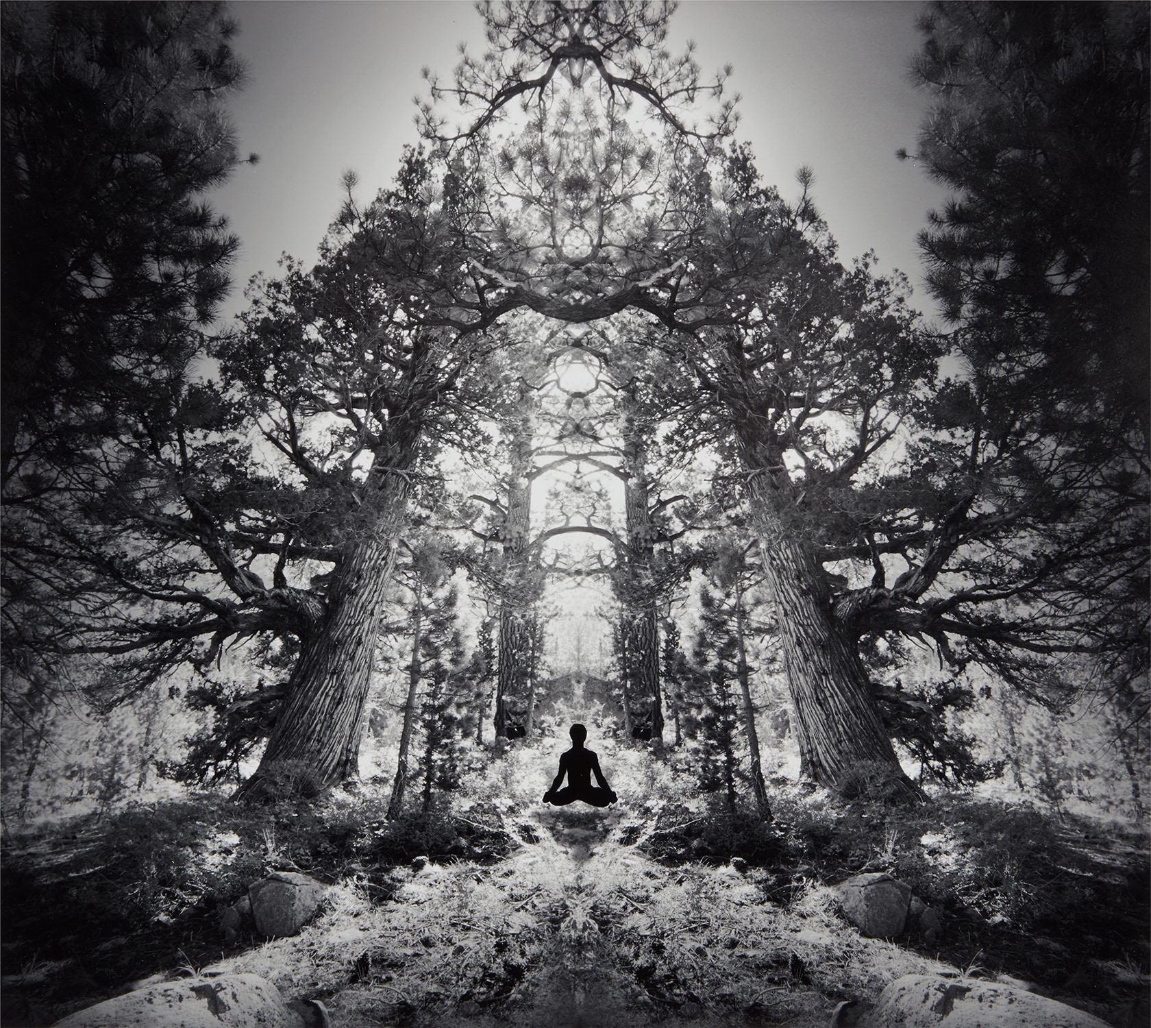 Jerry Uelsmann Inside the Photograph: Further Selections from the