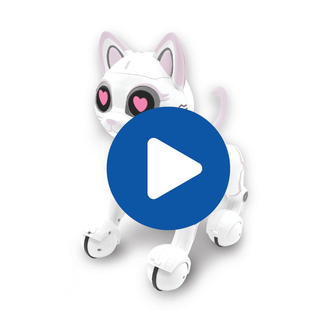 Power Kitty® – My smart remote-controlled kitty with 20 features