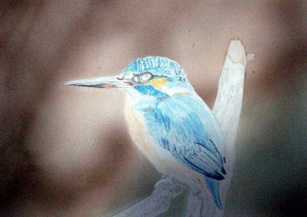 透明水彩でカワセミを描く方法4 - 透明水彩で描く細密画 | Art JP