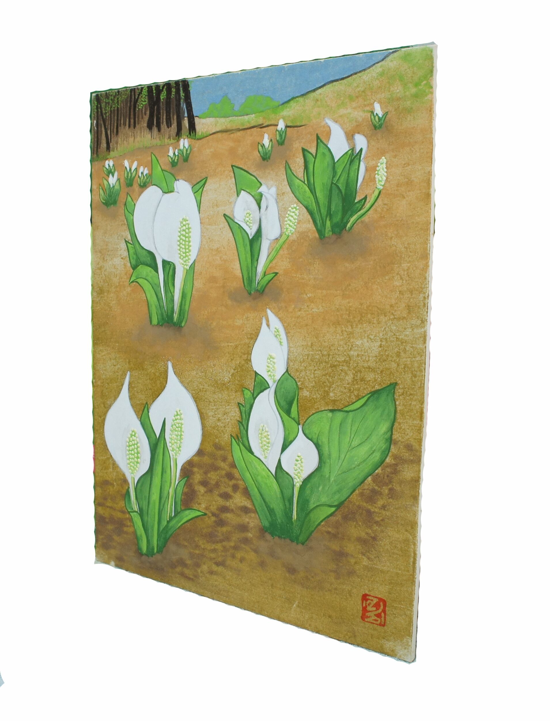 水芭蕉 | Libli-Art