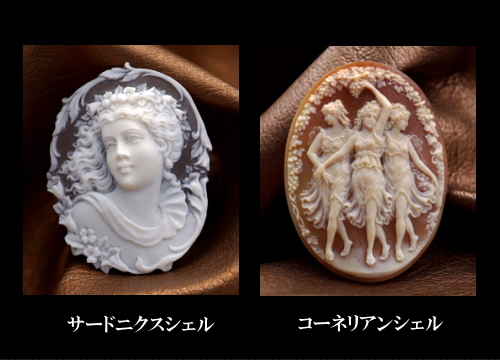 カメオの製作工程 貝の種類などを写真を使い詳しく解説しております。