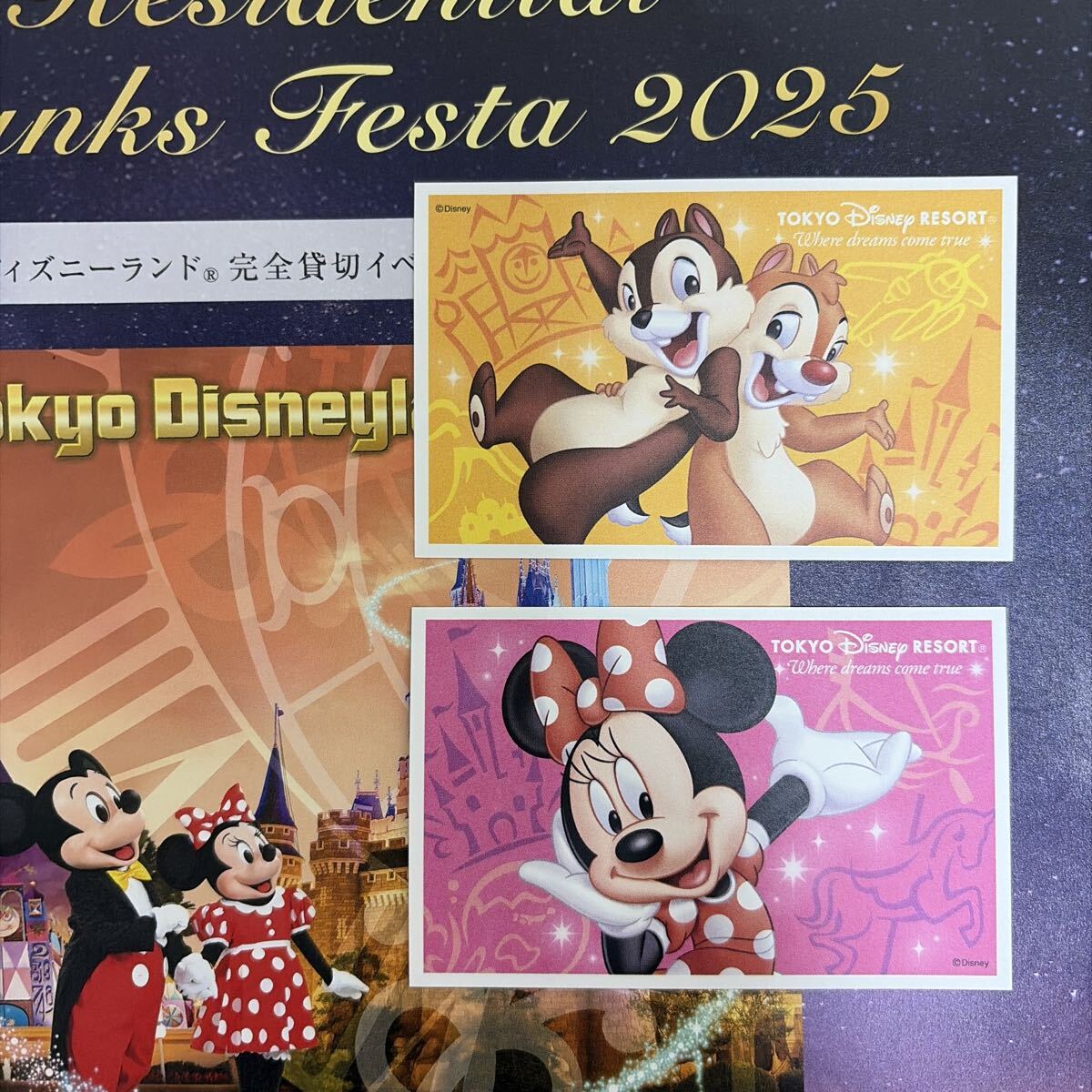 Yahoo!オークション -「ディズニー 貸切」(東京ディズニーリゾート