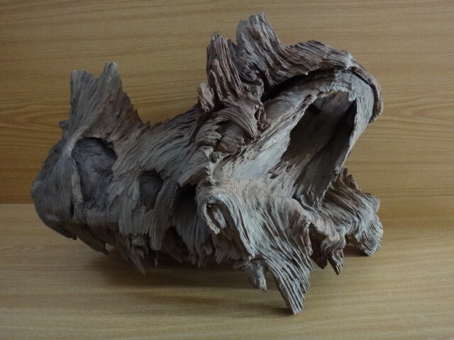 2026年最新】Yahoo!オークション -自然木 オブジェ(アンティーク