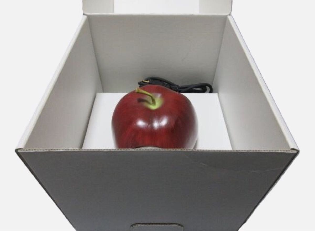 稀少・良品】 アンダーカバー undercover／ギラップル／リンゴ ライト