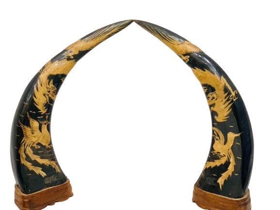 水牛の角 水牛のツノ 水牛 ツノ 角 龍絵柄 鳥柄 インテリア 飾り