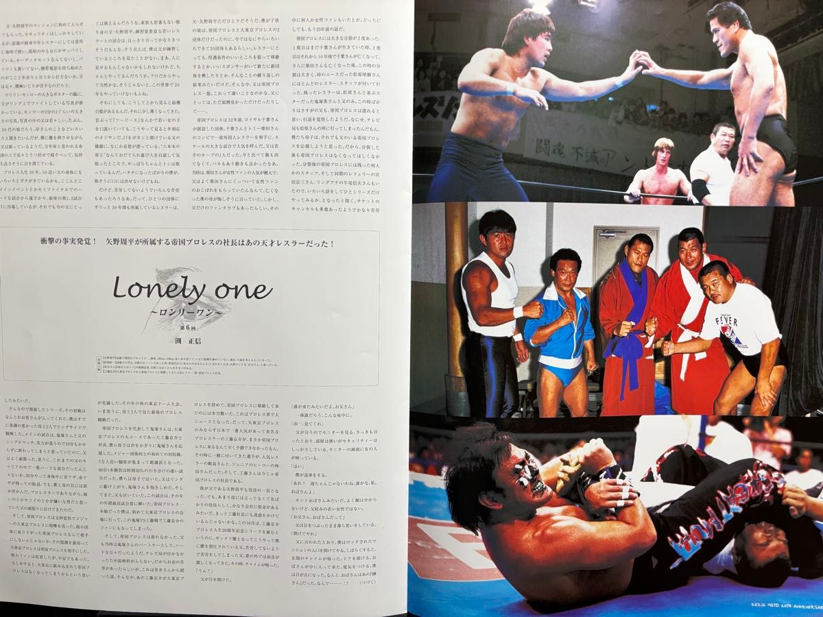 武藤敬司 20周年記念大会 興行 20th ANNIVERSARY LOVE AND BUMP