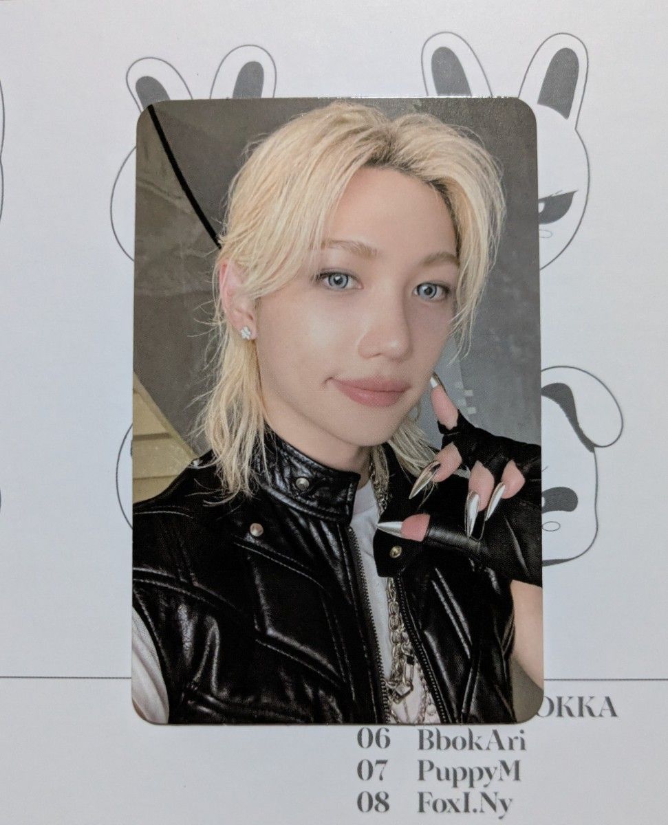 Stray Kids DO IT EVIL SKZOO スピーカー プレオーダー特典 トレカ